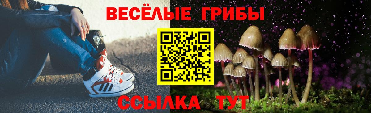 Галлюциногенные грибы прущие грибы  Вход с VPN  Псилоцибиновые грибы Psilocybine cubensis  Добрянка 